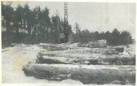 1959